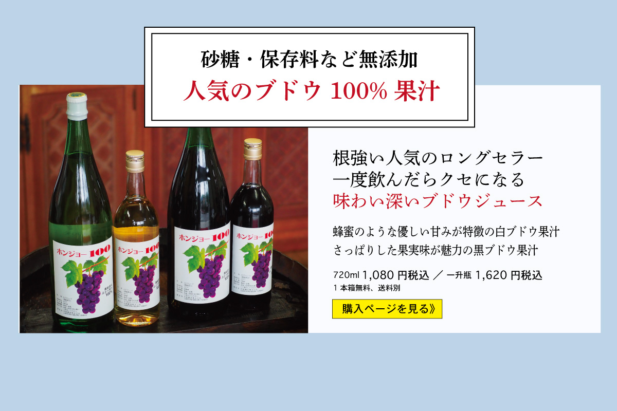 日本ワイン お歳暮 冬ギフト